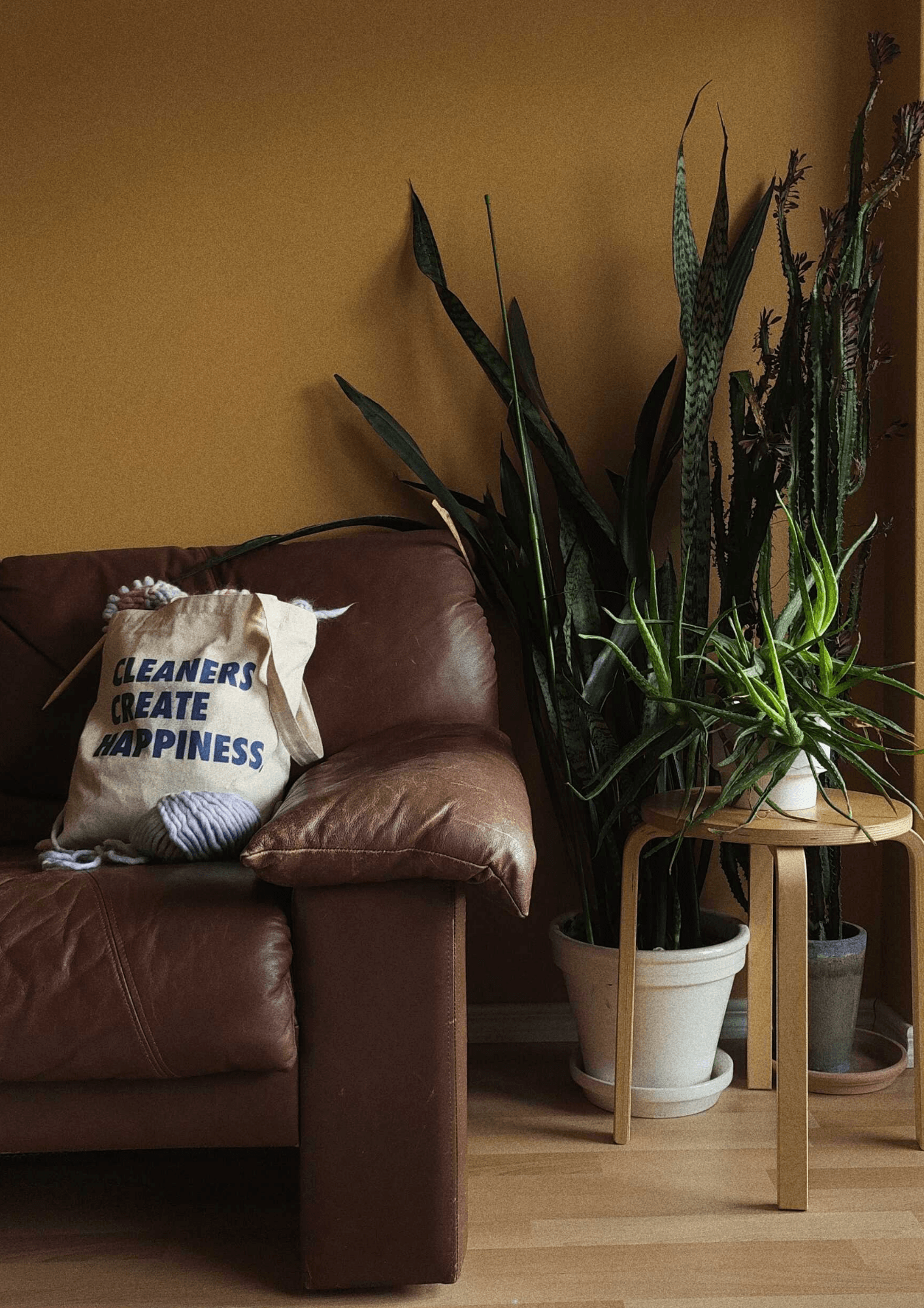 Freska cleaners create happiness